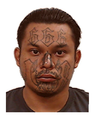 ICE Arrests Wanted Salvadoran Gang Member Previously Labeled ‘Non-Criminal’ by Media