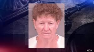 Judge Rules Elba Woman Incompetent to Stand Trial in Winona County Shooting Case