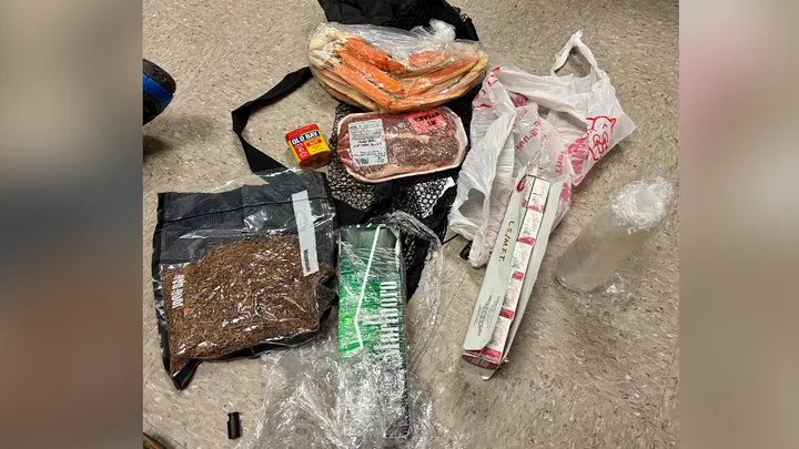 South Carolina prison officers intercept drone delivering steak, crab legs and other contraband to inmates