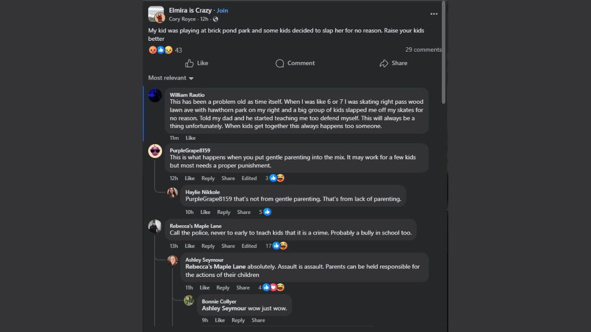 Elmira park child slapped