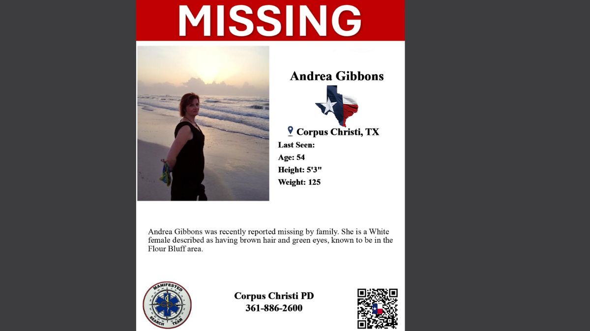 Andrea Gibbons missing