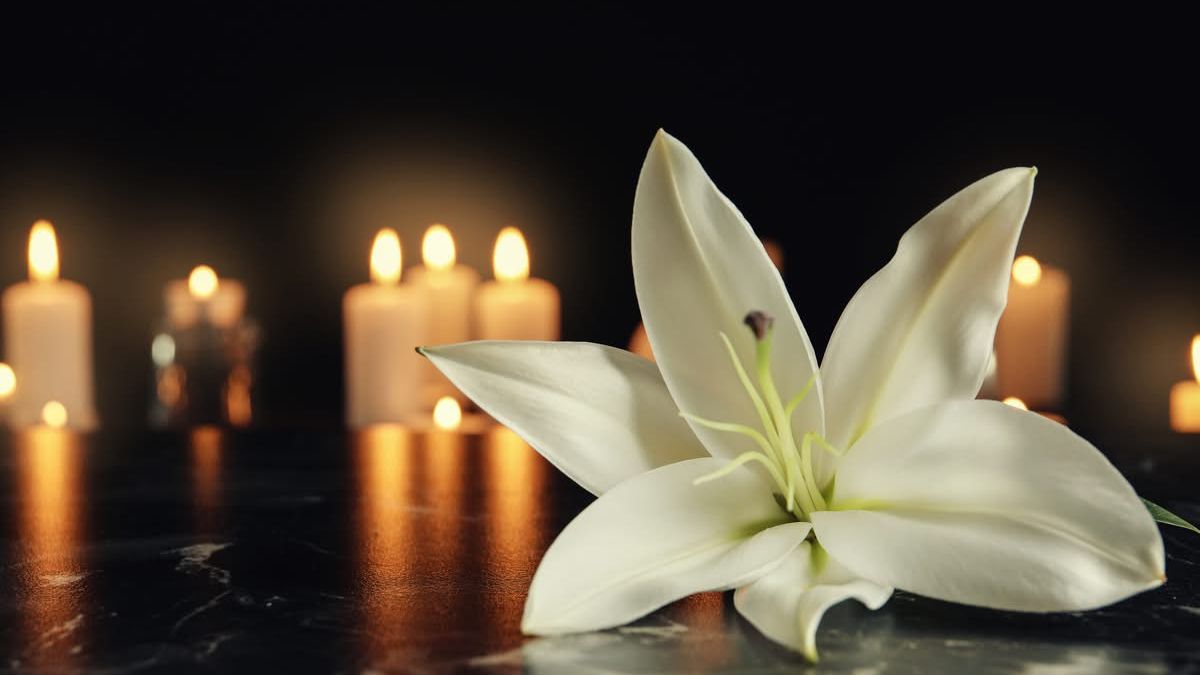 Elijah Moskvitch obituary