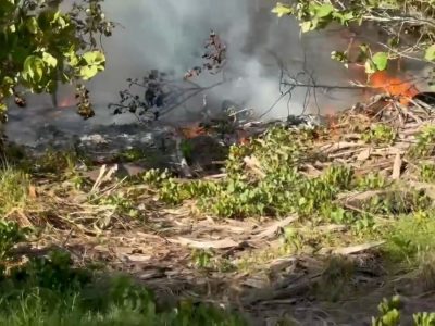 Fire Breaks Out on Egmont Key, Black Smoke Visible Across Tampa Bay Waters