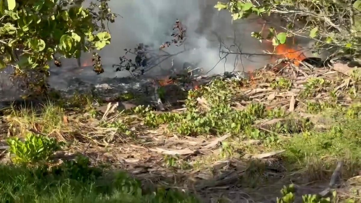 Fire Breaks Out on Egmont Key, Black Smoke Visible Across Tampa Bay Waters