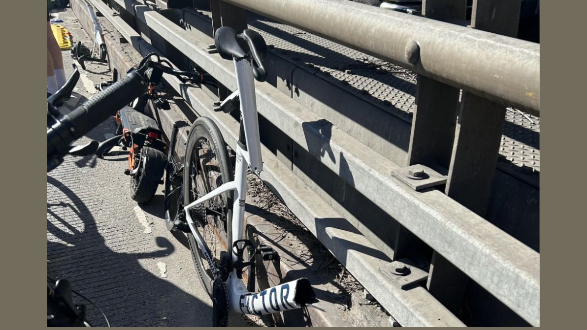 Queens Bridge Tragedy: Francis Delball, 39, Kills Cyclist Dmytro Stechenko, 35, Then Dies in Illegal Scooter Crash