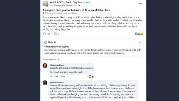 Vaping, Swearing, and Racial Slurs: Owen Sound Mom Warns Parents About Park Incident