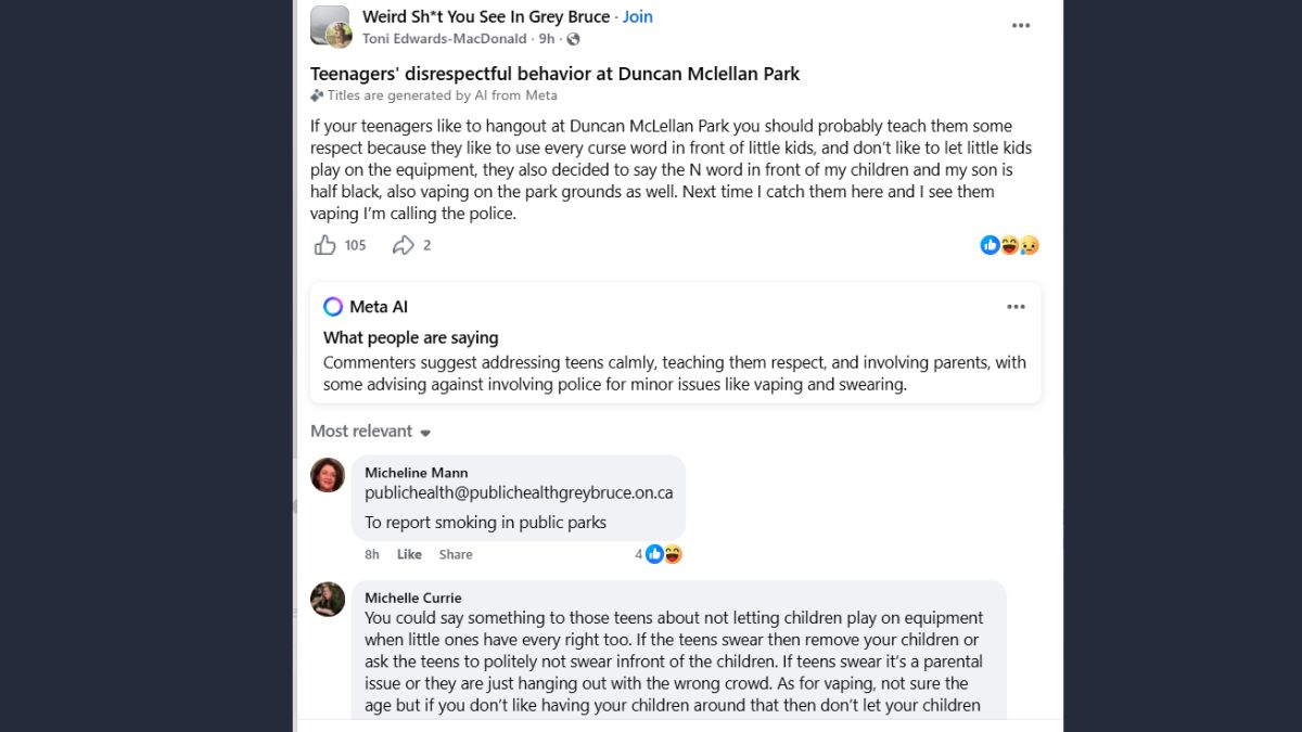 Vaping, Swearing, and Racial Slurs: Owen Sound Mom Warns Parents About Park Incident