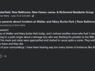 New Baltimore, MI, Park Incident Sparks Dispute Over What Really Happened