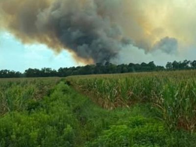 Duplin County, NC, Wildfire Grows to 600 Acres, Still Only 20% Contained