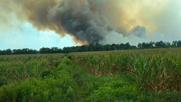 Duplin County, NC, Wildfire Grows to 600 Acres, Still Only 20% Contained