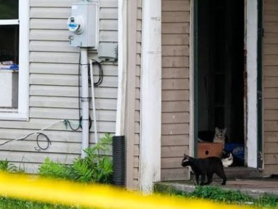 Vinton County, OH, Four Adults Arraigned After 16 Children Found Living in ‘Deplorable’ Conditions