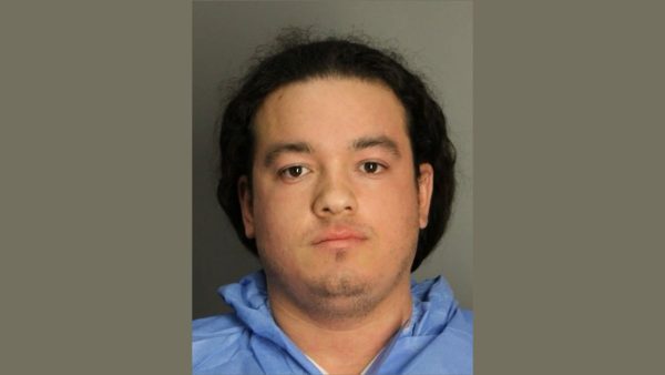 North Massapequa, NY, Oceanside Music Teacher, Joseph Horner, 27, Charged With Strangling Sister-in-Law, 25, in Chokehold Attack
