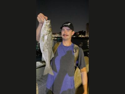 Bridgewater, MA: Beloved Paintball Coach and Animal Foster Dad Travis Sellstone Passes Away at 26